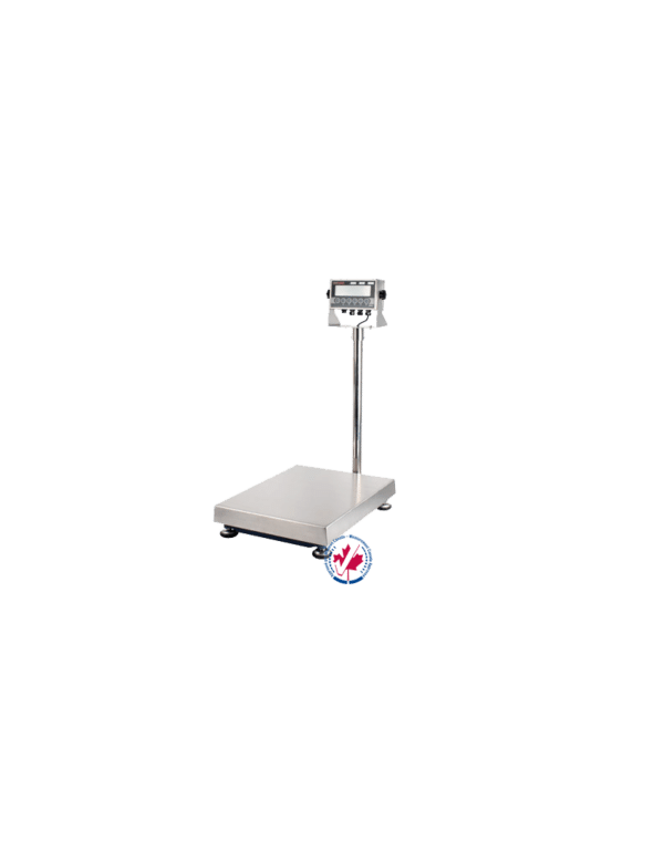Anyload TN Bench Scale